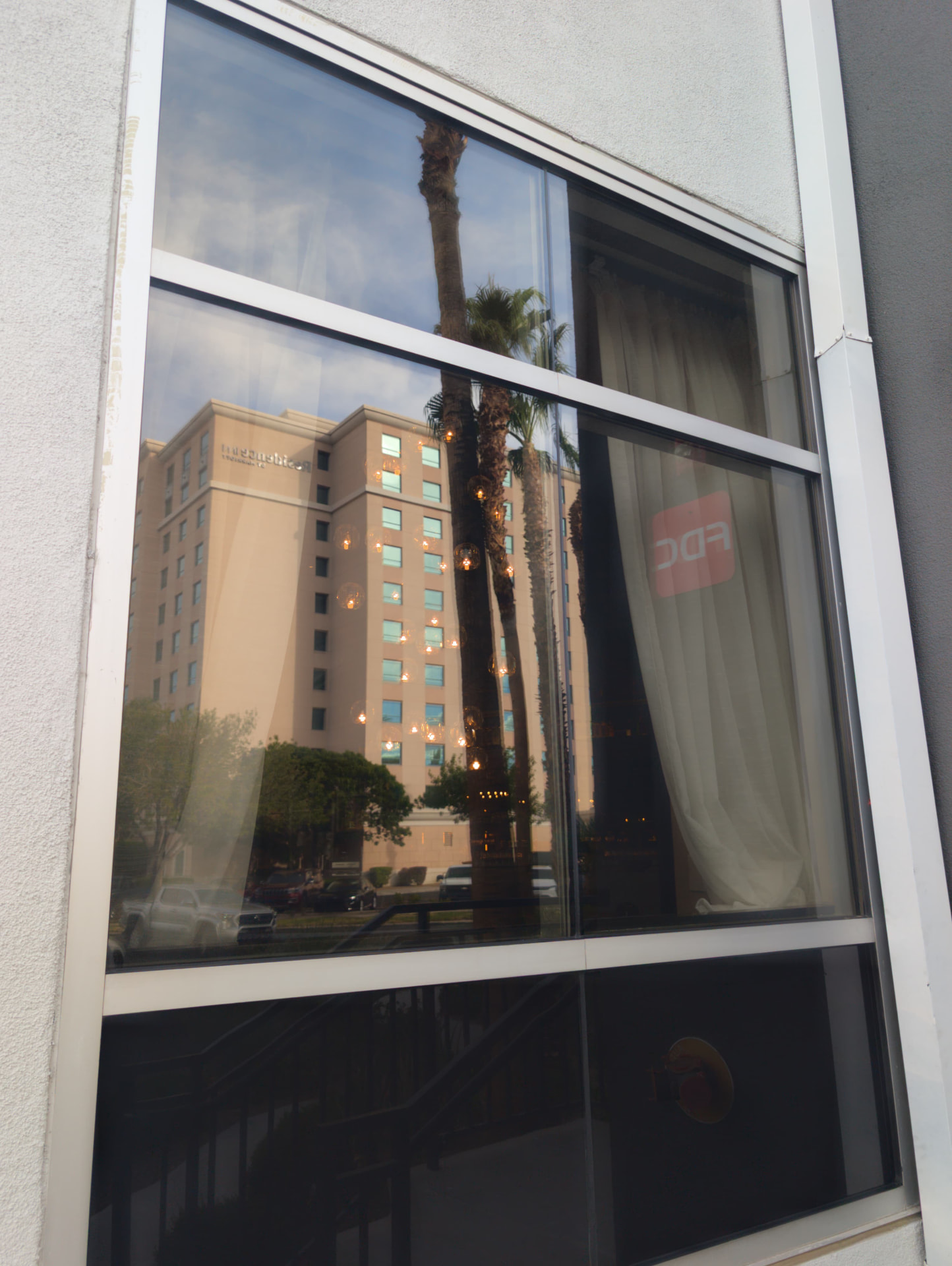 Freshly cleaned commercial window reflecting palm trees